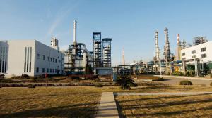 中國能建浙江火電承建的舟山石化工程7臺(tái)機(jī)組全部開工