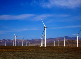 風電發展加速 市場更加多元化