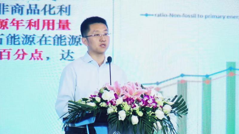 陶冶：中國可再生能源發展及市場趨勢