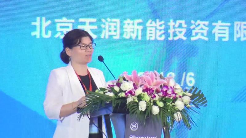 劉愛花：風電融資分享