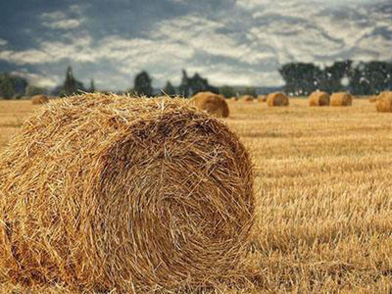 2.1噸秸稈可生成1噸初級(jí)生物液體燃料