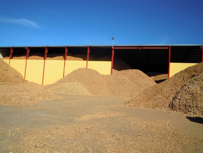 電生物質長達兩萬八千