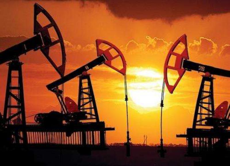 越南總理建議VER繼續(xù)為石油和天然氣行業(yè)做出貢獻(xiàn)