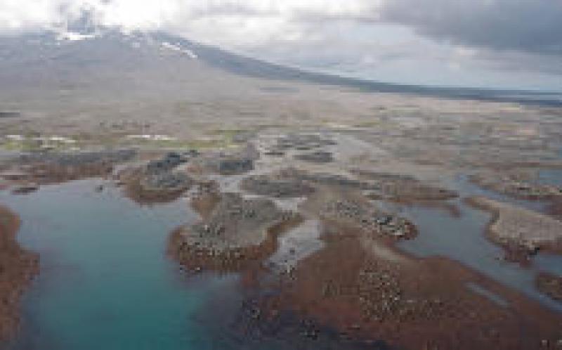 阿拉斯加州尋求土地提名以進(jìn)行潛在的地?zé)嶙赓U銷售