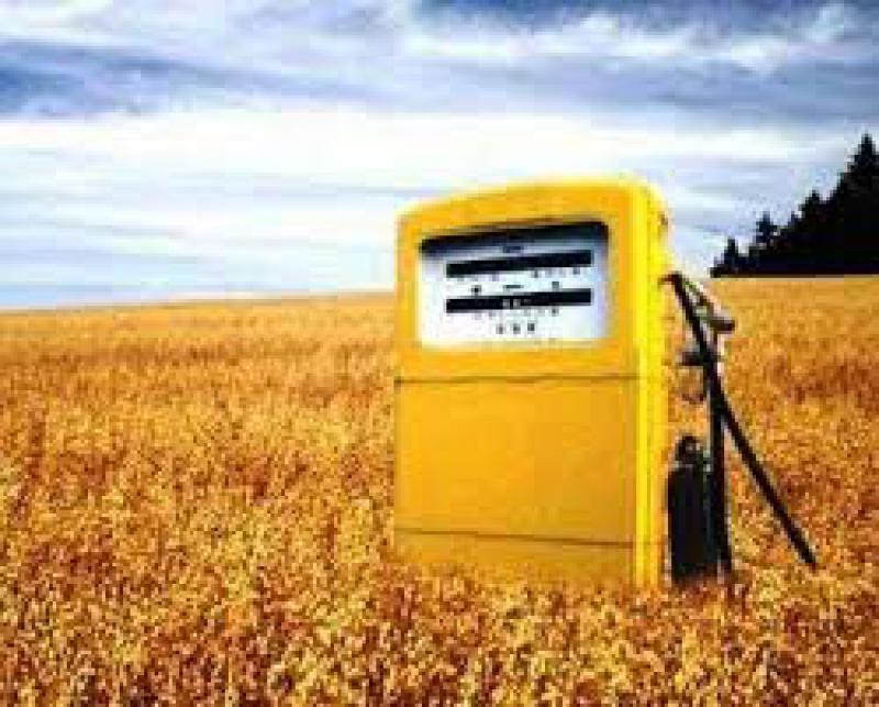 生物能源可以在2018年為歐洲提供43天的燃料