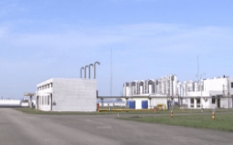 海南省環(huán)島管網(wǎng)文昌—瓊海—三亞輸氣管道工程瓊海段正式開工建設(shè)