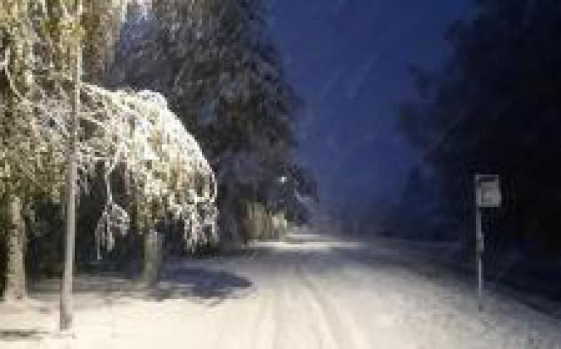 愛沙尼亞南部地區受暴風雪影響，致數萬家庭無電