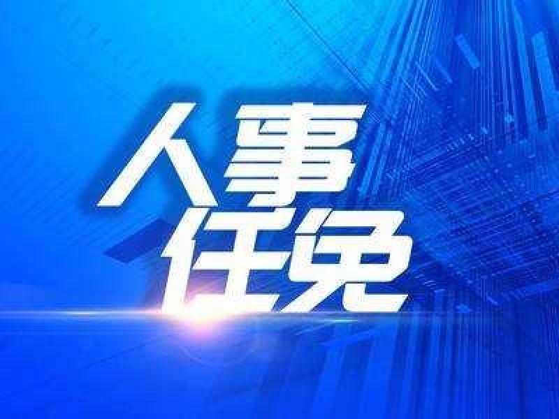 中國(guó)大唐總經(jīng)理任職